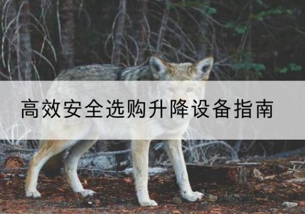 怀仁升降货梯厂家推荐-*安全选购升降设备指南