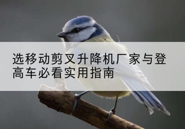怀仁电动升降机厂家-选移动剪叉升降机厂家与登高车必看实用指南
