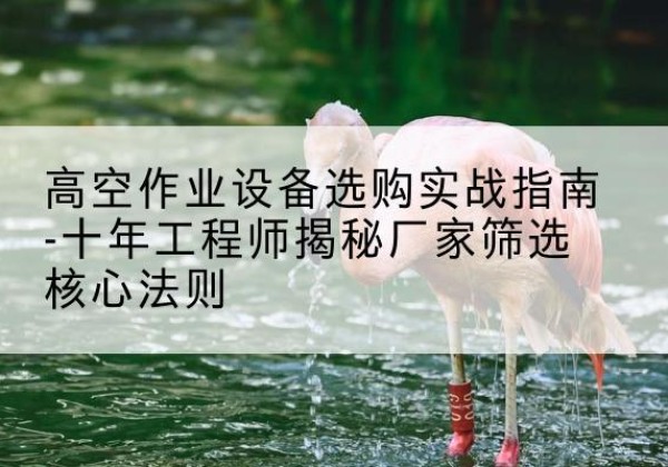 怀仁剪叉式升降机厂家-高空作业设备选购实战指南-十年工程师揭秘厂家筛选核心法则